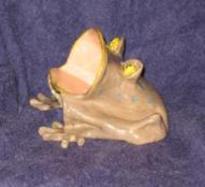 Frog sponge holder