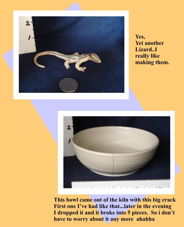 little Lizard and broken bowl