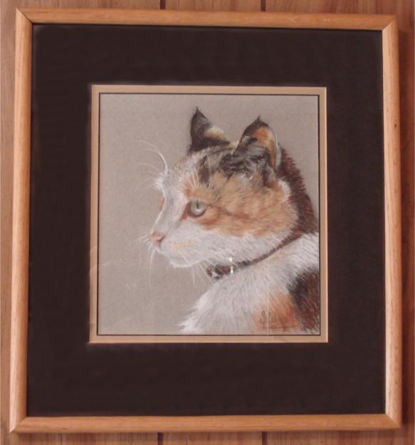 pastel portrait of a cat