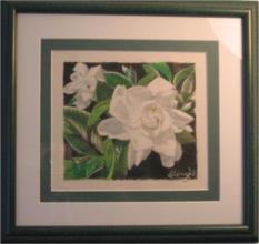 Gardenia in colored pencil